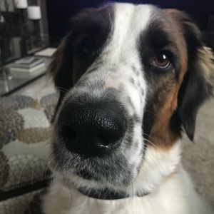 Meet your Posher, Tricia